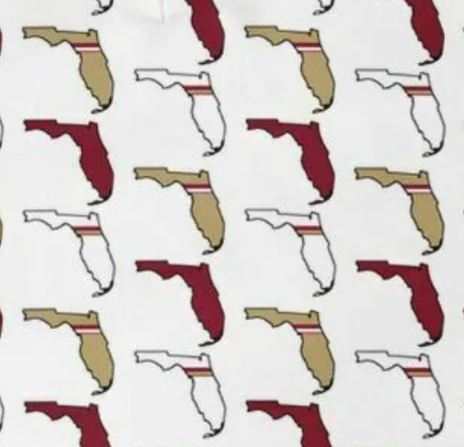 Tallahassee, Florida Print Golf Polo